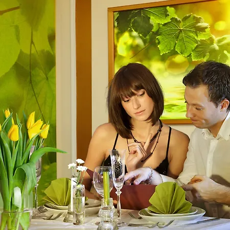 & Wellness Olympia 4* Mariánské Lázně