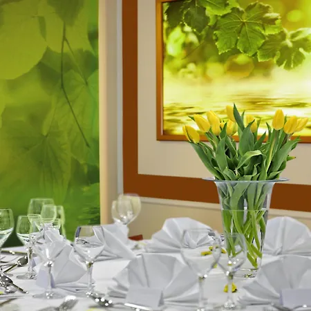 & Wellness Olympia 4*