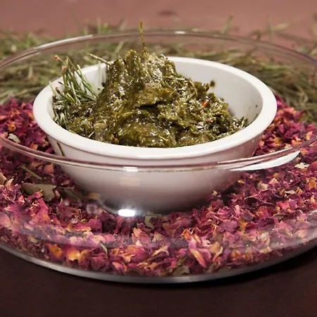 & Wellness Olympia Ξενοδοχείο 4*